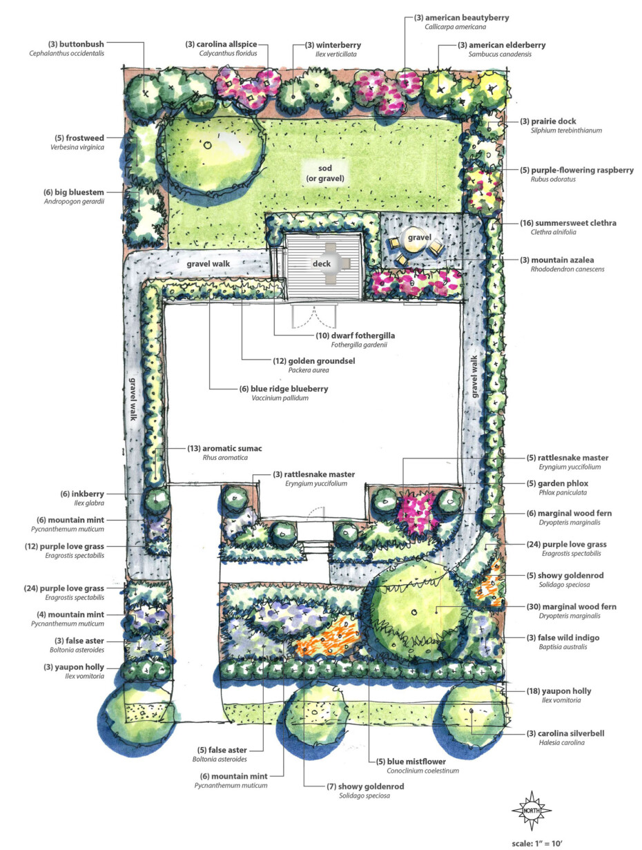 Chattanooga Native Garden Designs