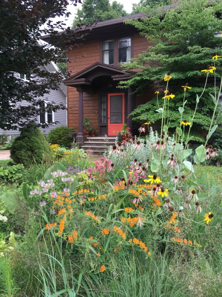 Tips for Growing a Native Wildflower Landscape