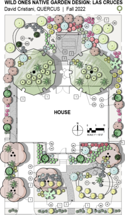 Las Cruces - Native Garden Designs