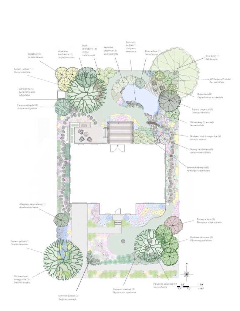 The landscape design plan for a residential property features various trees and shrubs labeled with their common and scientific names, including Spicebush (Lindera benzoin), American bladdernut (Staphylea trifolia), Black chokeberry (Aronia melanocarpa), Red osier dogwood (Cornus sericea), Common juniper (Juniperus communis), Pussy willow (Salix discolor), and River birch (Betula nigra) placed in the northern part of the property near a small pond, Winterberry (Ilex verticillata), Buttonbush (Cephalanthus occidentalis), and Pagoda dogwood (Cornus alternifolia) situated around the pond area, Downy serviceberry (Amelanchier arborea) and Smooth hydrangea (Hydrangea arborescens) found near the eastern side of the house, Eastern wahoo (Euonymus atropurpureus) and Blackhaw viburnum (Viburnum prunifolium) placed near the southeastern corner, Flowering dogwood (Cornus florida) and Common ninebark (Physocarpus opulifolius) located near the southern edge, Allegheny serviceberry (Amelanchier laevis), Eastern red cedar (Juniperus virginiana), Coralberry (Symphoricarpos orbiculatus), Eastern redbud (Cercis canadensis), and Northern bush honeysuckle (Diervilla lonicera) scattered throughout the property, providing seasonal interest, shade, and wildlife habitat, with permeable surfaces, rain gardens, a composting area, raised garden beds, an outdoor kitchen unit with a grill, and various seating areas for relaxation and enjoyment, emphasizing sustainable practices, water management, and the use of native plant species to create a functional and aesthetically pleasing landscape.