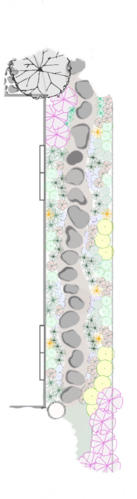 Landscape design plan showing a variety of native plants arranged along a winding stone pathway. Layout includes distinct areas for different plant types, with some plants indicated by unique patterns and colors to represent their placement and density in the garden.